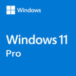 Windows 11 Pro